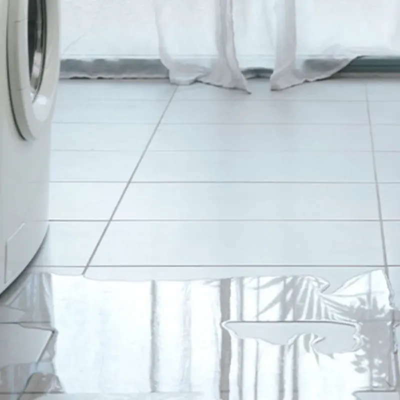 Appliance Leak Cleanup in Armona, CA