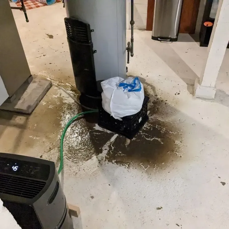 Sewage Backup Cleanup Service in Armona, CA